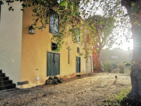 Casa entre viñedos